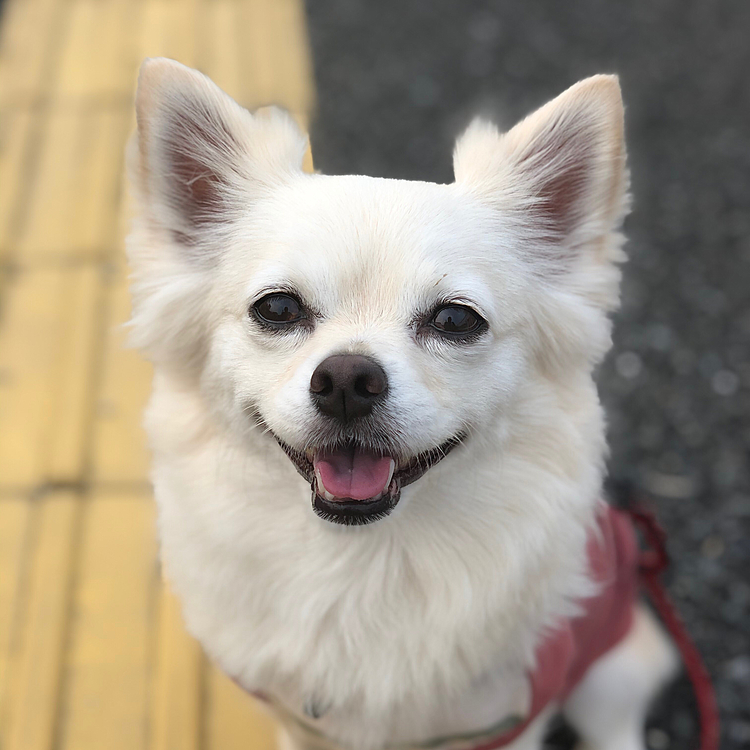 おはようございます☁️
今朝は日差しがあまり無くて暑さマシです👍