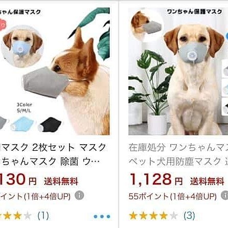 緊急告知です。
犬用のマスク買わないでください。使わないでください。
犬にポビドンヨードでウガイをさせないでください。
犬の足をアルコール消毒することもおすすめしません。

国内の犬二頭で新型コロナウィルス検査が陽性だったと言う報道がありますが、現時点で犬において感染が成立していると言う証拠もありません。犬から犬への感染の報告もありません。犬から人への感染の報告もありません。現時点では、必要以上に恐れる必要はありません。過剰な対応は動物を苦しめることになります。くれぐれもご注意ください。