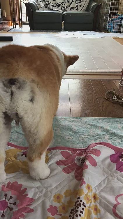 何かあんの？そこに？💦
何かあったらしい🌀
決して私が何か落としてたわけではない💦
一体何があったというのか🌀