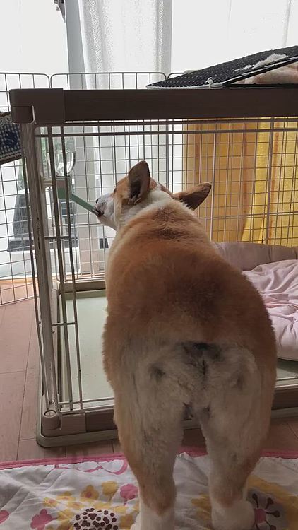 今度は喉が乾いたらしい🤣笑笑
水分補給😃