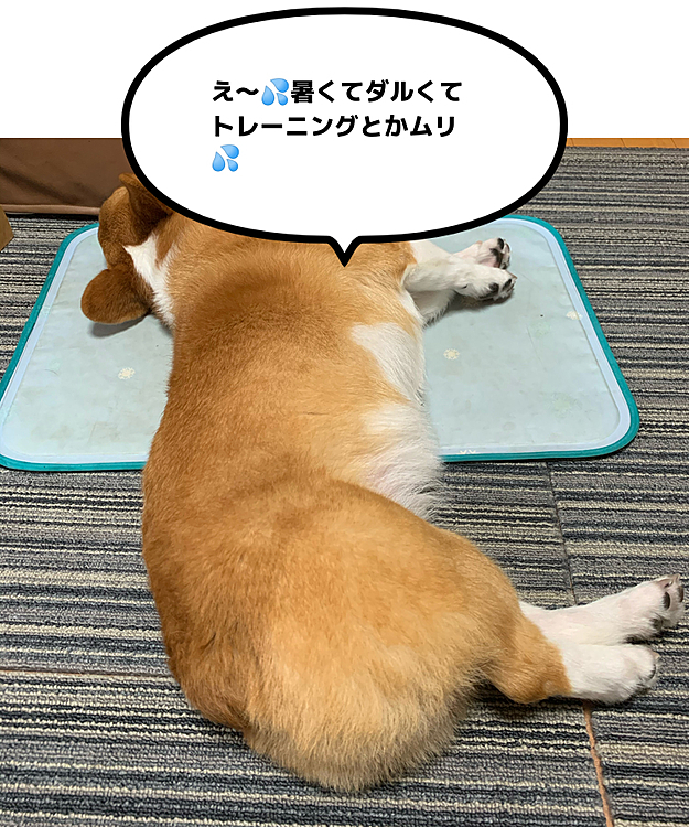 こんにちは😃
そんなこと言わないで、今日は月 1回のトレーニング💪先生もうすぐ来るよ〜😅
