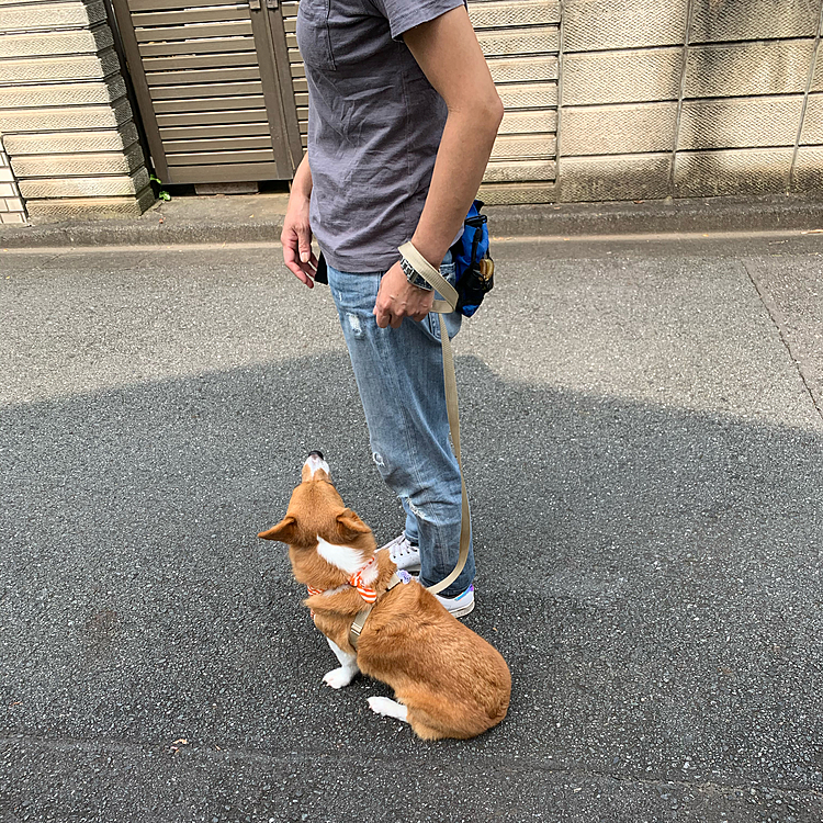 暑いので外でのトレーニングは少しだけ🤏
前回の復習です☺️
