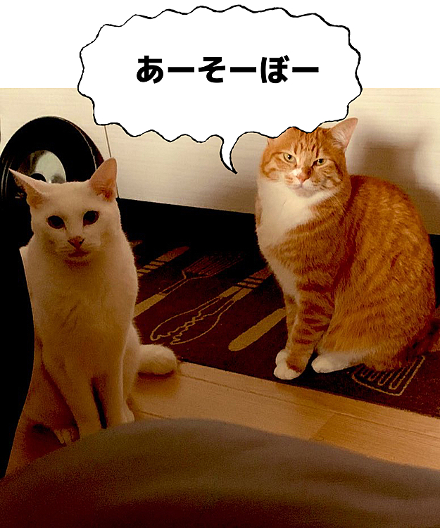 あそぼーお誘い隊が起きてきました。