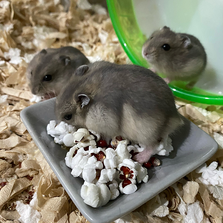 いただきます☺️おやつタイム☺️