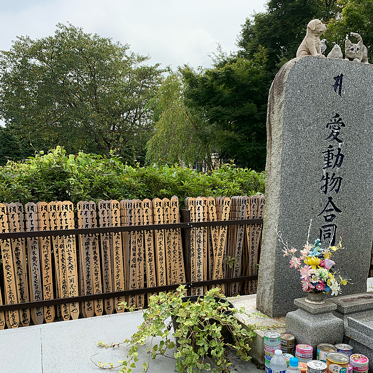 そして今年も何故か墓で写真を要求する父…😅