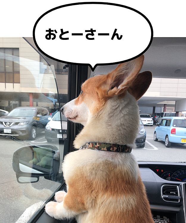 ビール買いに行った。。おとーさんをスーパーの入り口をジッと見てる😃
忠犬まあるかっ🤣笑笑