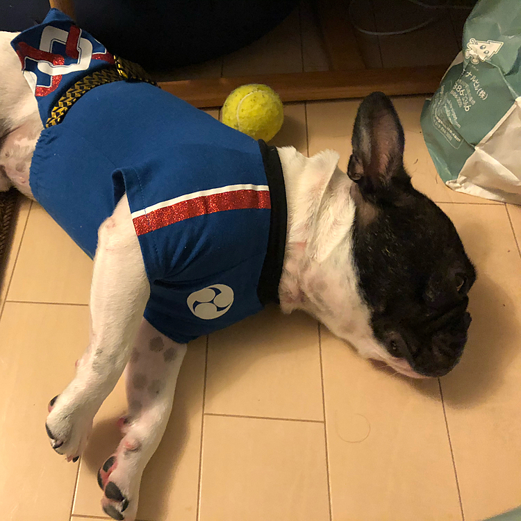 祭りの後です🤣