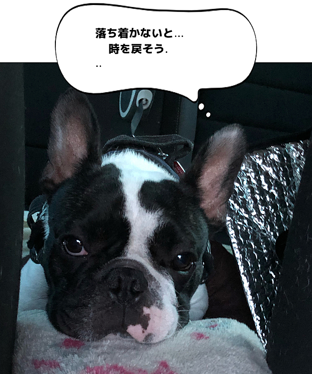 テンション上がり過ぎてガハガハして疲れちゃいました😅