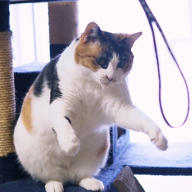 落ちそうだけどキープ