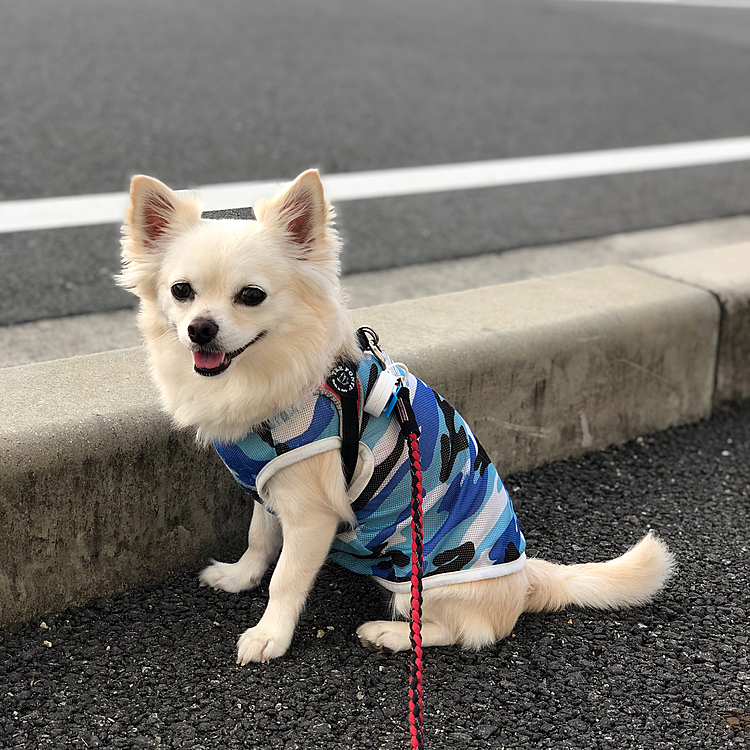 おはようございます☀
今朝も朝から暑くてヤバいです💦