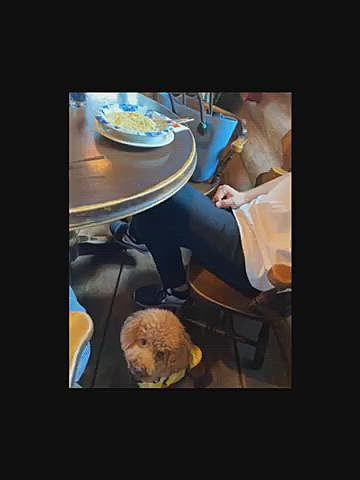 【1日目】
白馬に到着して調べていたお店でゴルゴンゾーラのパスタが美味しくて、結局毎日通う事になりました😆

夕方からはゴンドラに乗って山の上に行きました🚠
普段は17時までのゴンドラですが、この日はマジックアワーとキャンドルナイトと言うイベントがあったので行きました🕯
でも周りは真っ白で景色は全く見えませんでした💦コンサートや普段は見られない幻想的な雰囲気を楽しめました❣️
お昼を食べたのが遅かったし、山頂でお茶してお腹が空いていなかったので夜はスーパーで買い出しして部屋飲み🥂