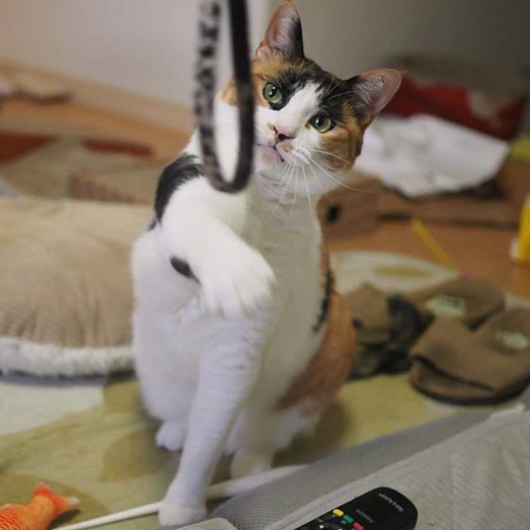 カウンターパンチ