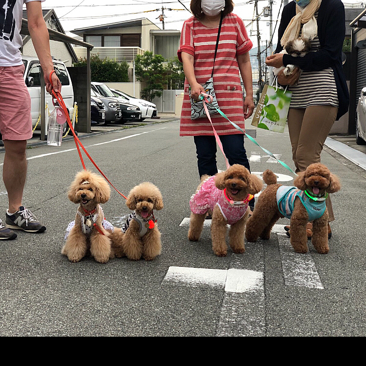 トニーちゃん、ハイこっち向いて5匹でパチリ❣️
