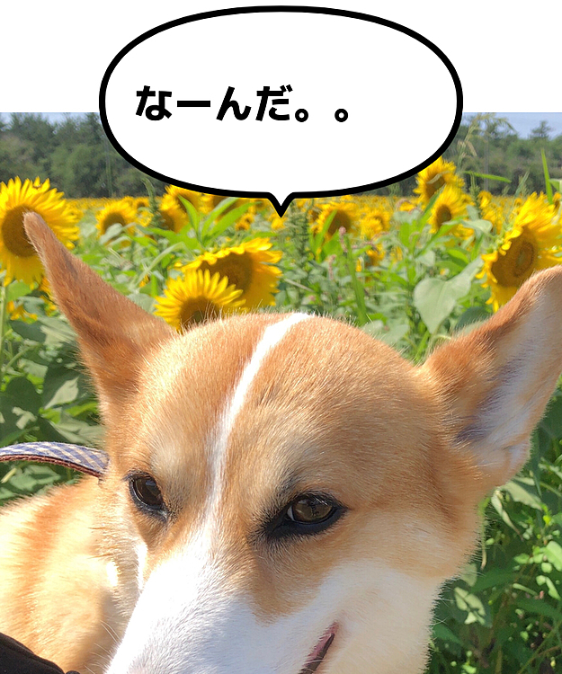 食べ物の事しか考えてない🤣笑笑