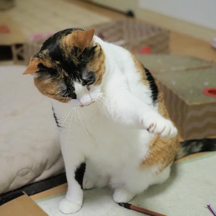 パンチパンチ