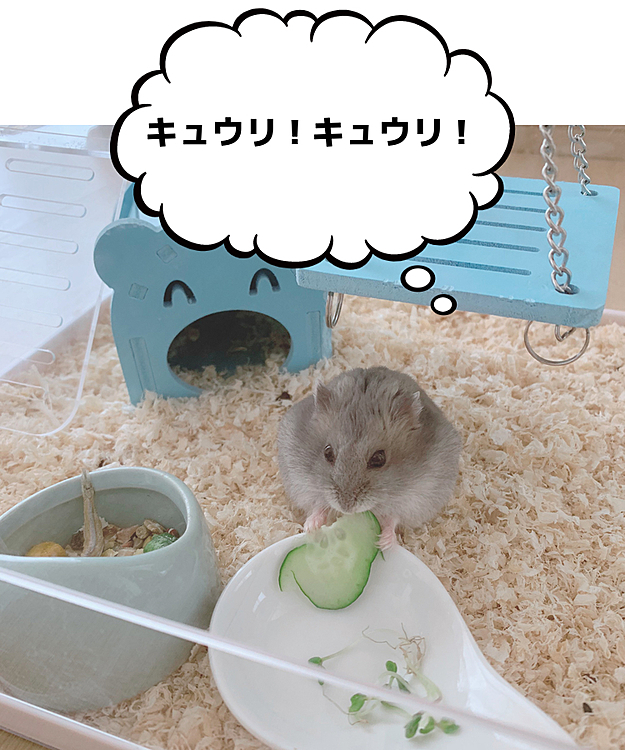 ᴺᴬᵀˢᵁᴷᴼ‎‪𓍯 ‬の投稿