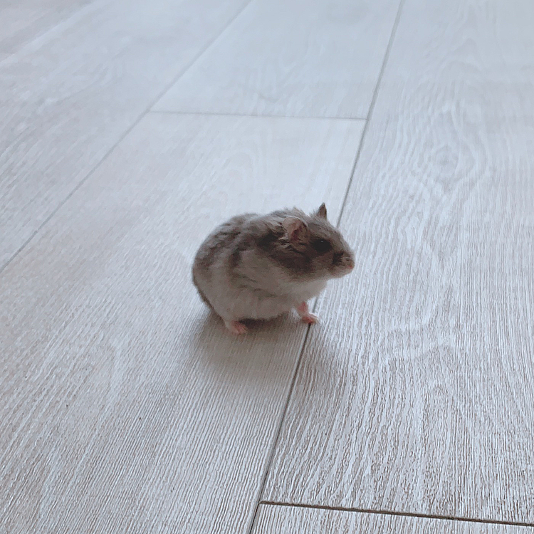 部屋んぽっ♡