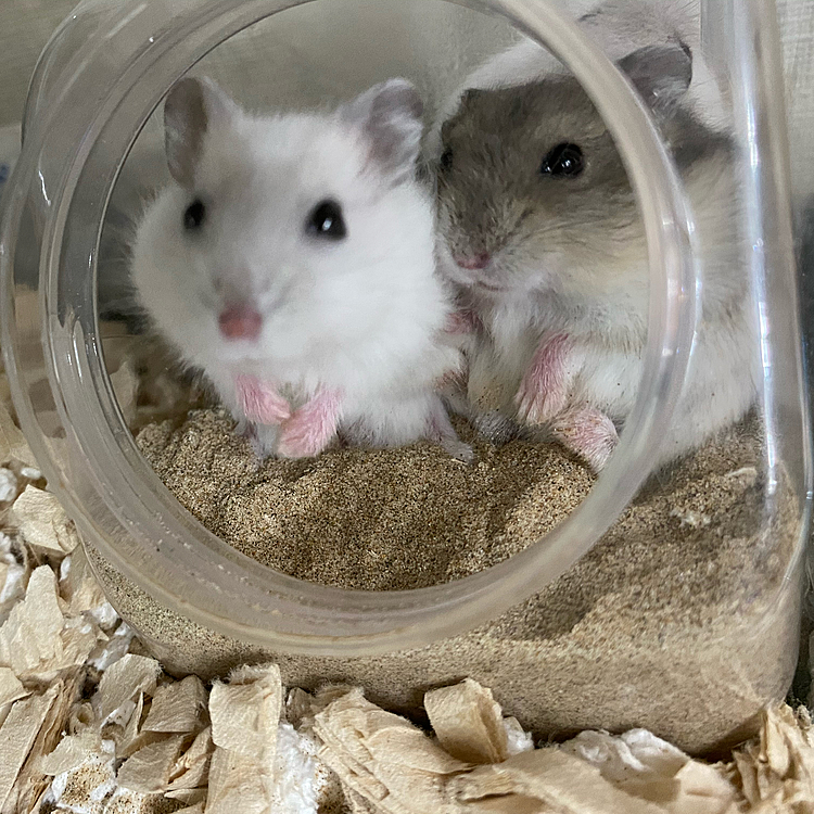実はこの中に4匹います
