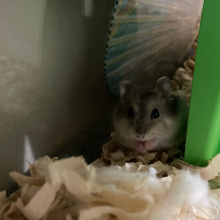 こんなところでこっそりww