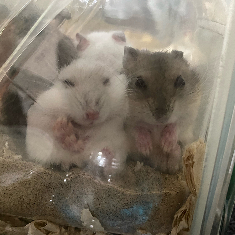 仲良しすぎるw