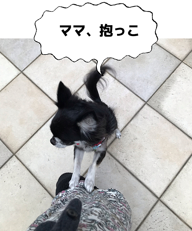 ひな、怖かった様です😂