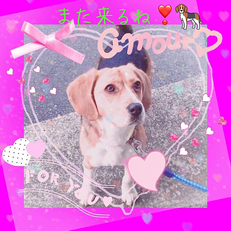 2020.8.16
お盆も終わり🍀

またお彼岸に帰ってくるからね〜🐶💕