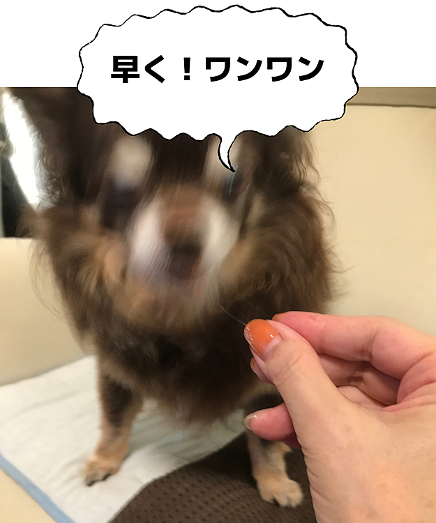 慌てるからピンボケになっちゃったじゃん😆