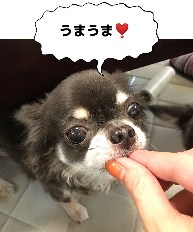 ベルもね😊