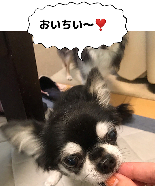 いつも最後のひな😅
最初に貰えたマロに見守られながら
食べました😂
今月も安心👍❣️