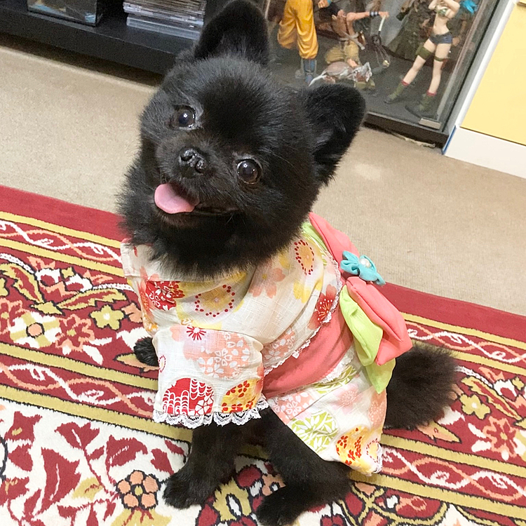 祭りもないし着ていく事あるのかしら( ´•௰•`)