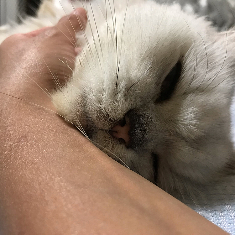 あぁ。。。気持ちぃ💕