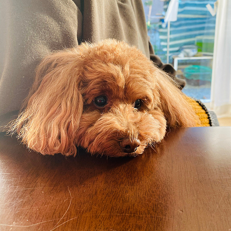 ここが一番落ち着くのぉ☺️