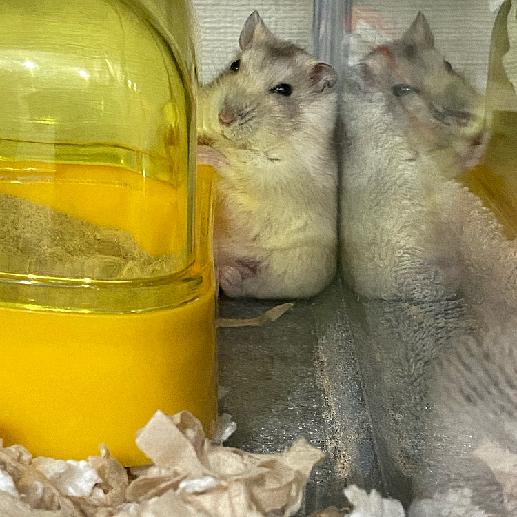 育児中に一休み