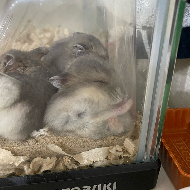 足ピーン！