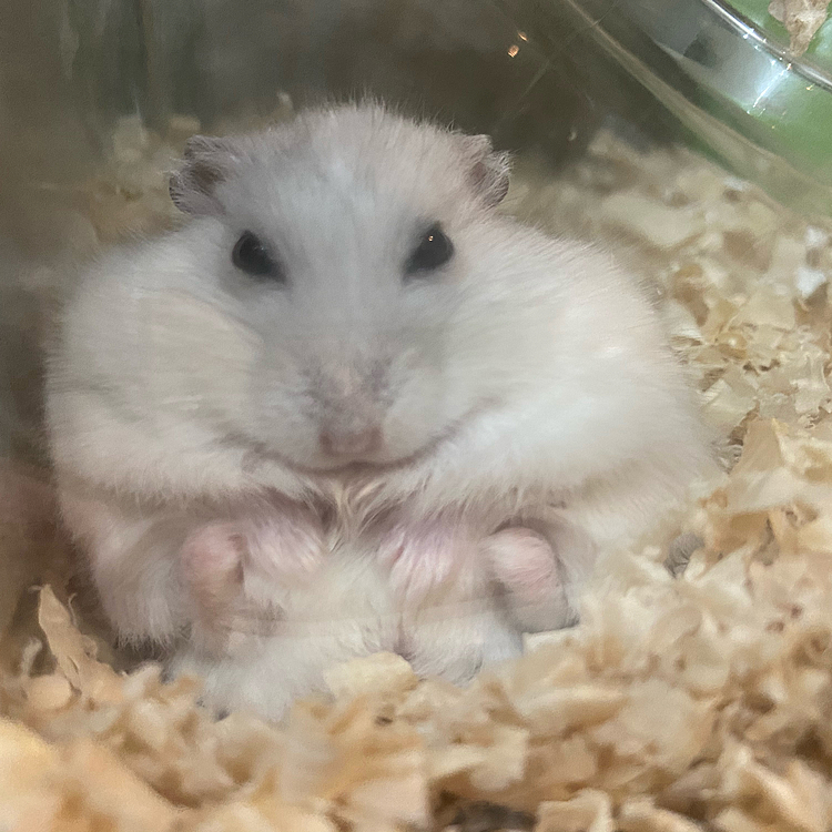おねむかな？笑