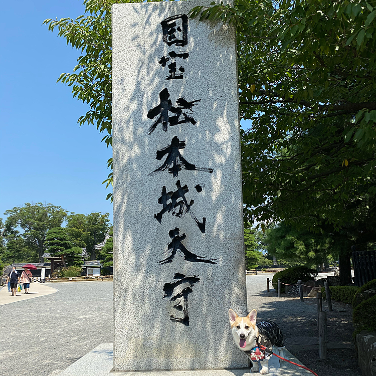 2日目お城を観に行って来たよ〜‼️
暑い中だった〜‼️