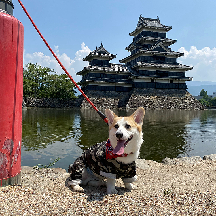 もう暑くて帰りたい〜