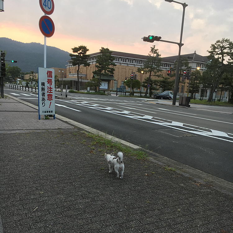 6時のあさんぽ🐾   

おはようございます😊
お久しぶりです🎵
 

