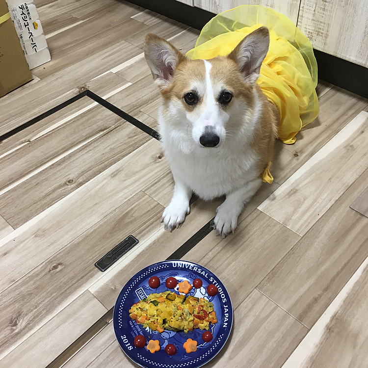 続いて副食は、オムレツを作りました‼️ただのオムレツじゃ物足りなさを感じたので、『野菜がゴロッと入ったオムレツ』です‼️
