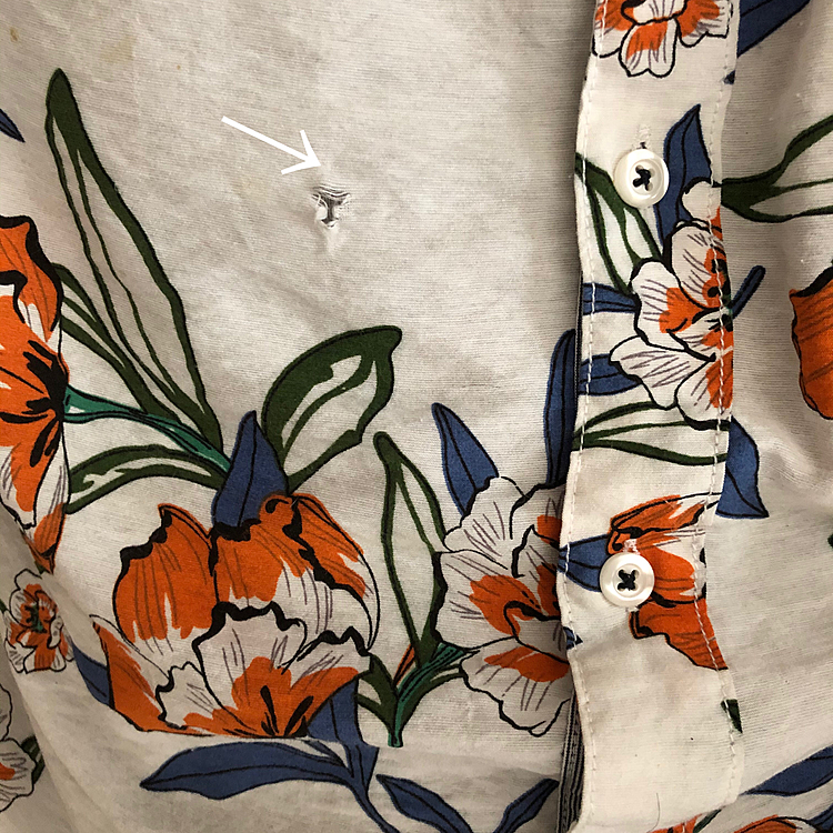 またも、まろにお気に入りの服をやられてしまいました😂😂😂