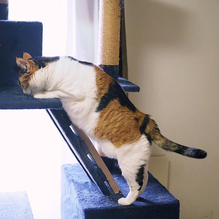 リラックス