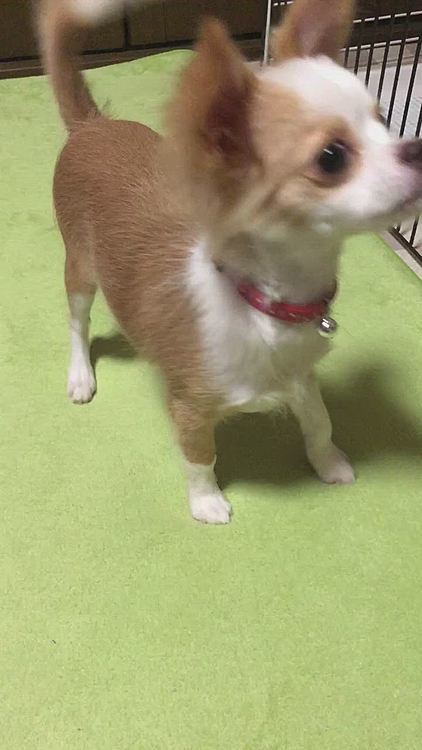 ほんのちょっとだけマテとかな❓
もっと練習しなきゃやね😂