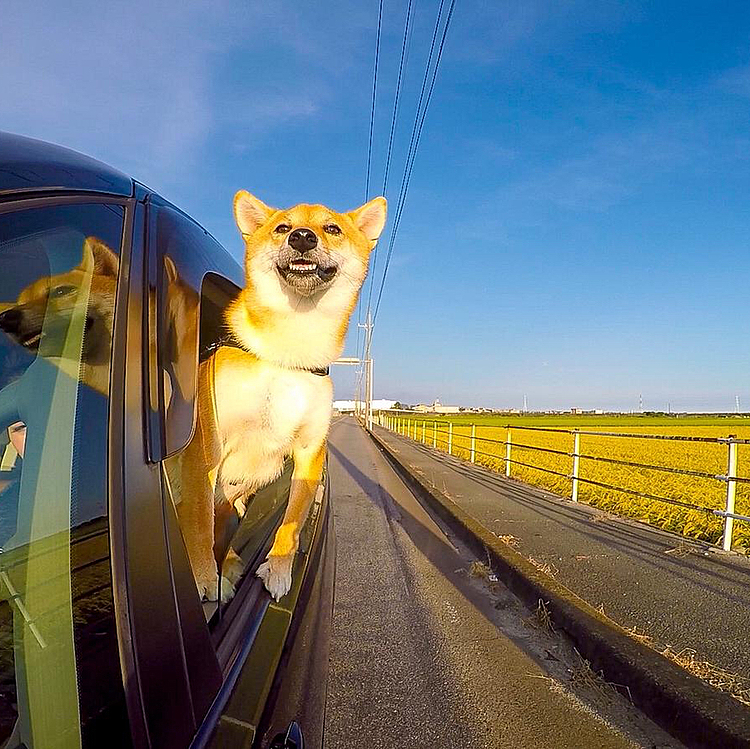 風邪が、気持ち〜　なーー🥳☀️🥳☀️🥳