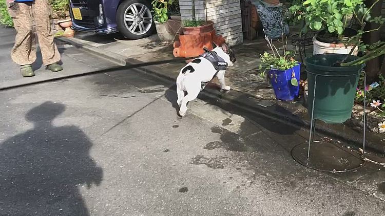 家に上がる階段を踏み外してコケてしまいました😅
振り返った時の顔がなんとも言えません🤣