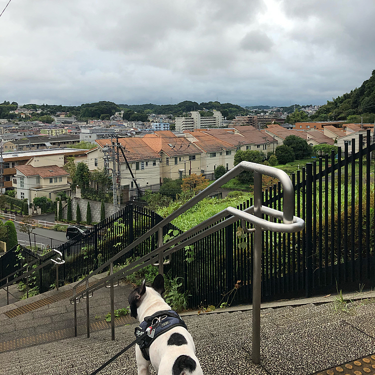 明日は朝散歩行けるかな❓😌