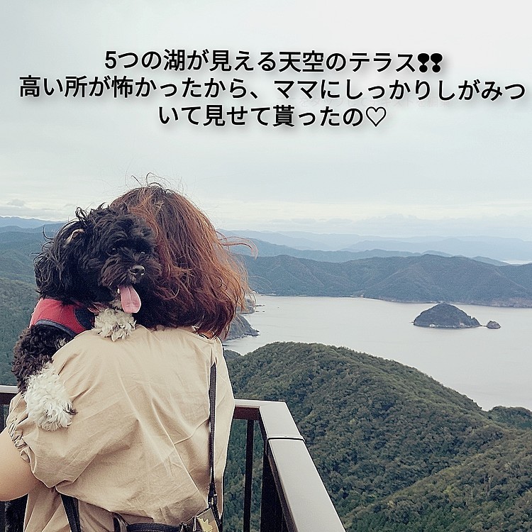湖と山々はもちろん、日本海側の水平線、空が近い開放感は眼福そのもの☆
2時間半ほど飽きることなく、愛犬とものんびり過ごして来ました〜
