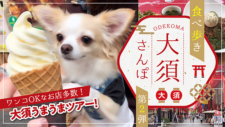 【犬と大須】チワワと行く!大須食べ歩き散歩
https://youtu.be/le1Gy1ruonU