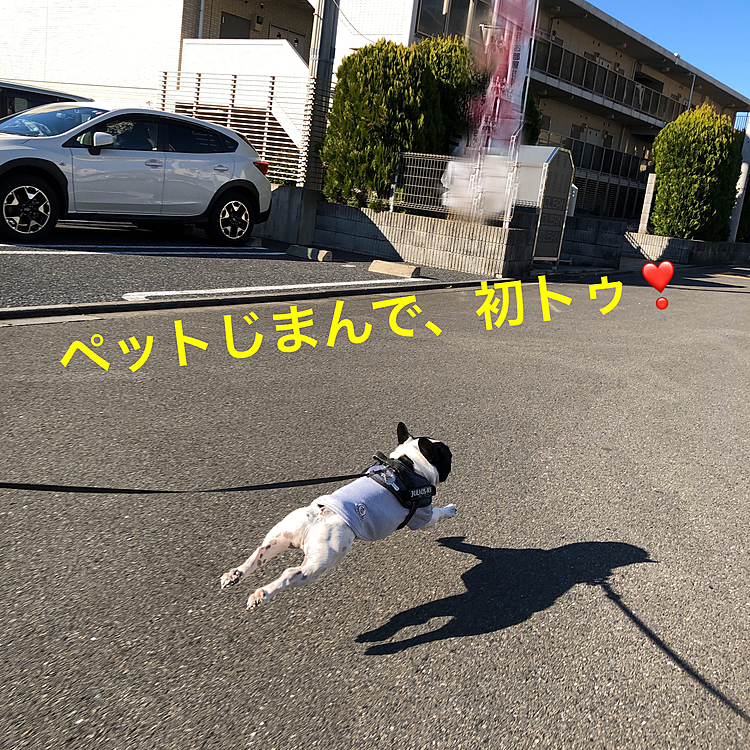 今朝も元気にダッシュ💨してます😁