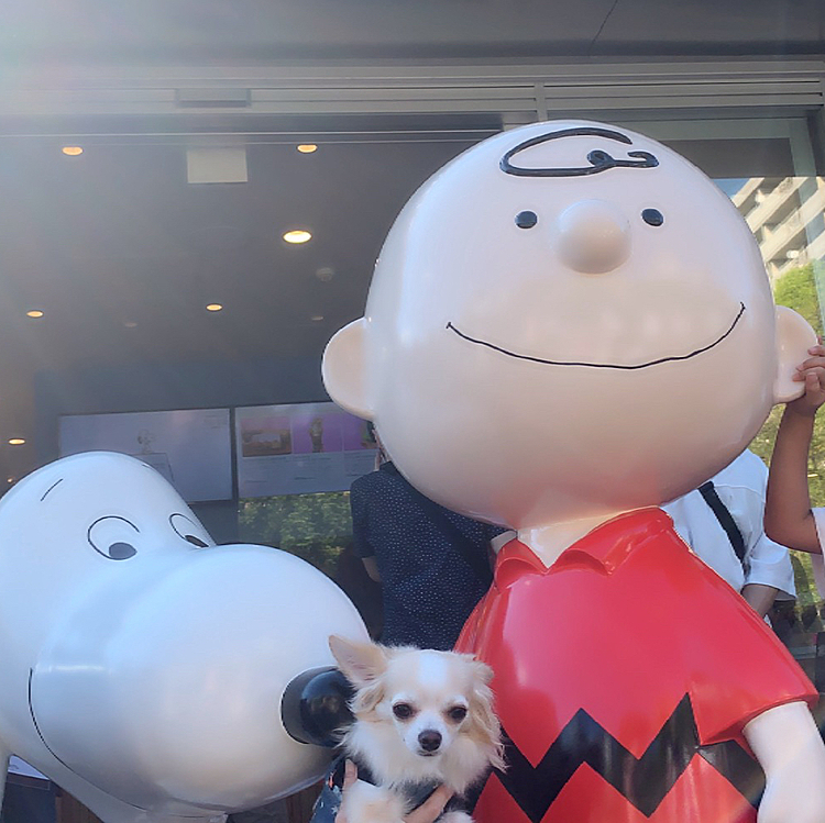 名古屋久屋大通にて、スヌーピーからガン見👀される犬の図