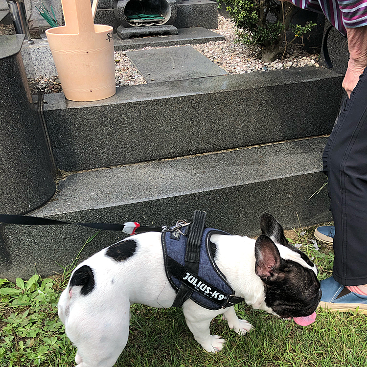 今日はばあばを連れてお墓参りに行って来ました😀